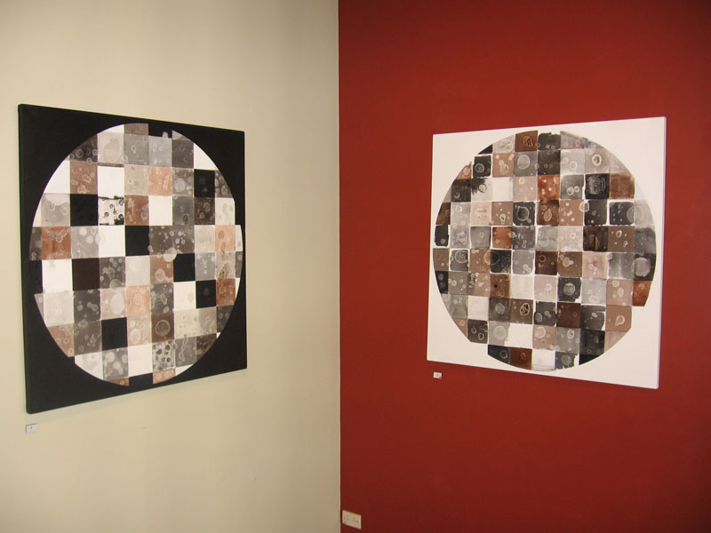 Building Blocks Nicola Gibbons